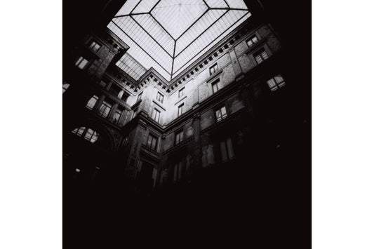 Lomography Earl Grey ISO100 120 B&W Film 3 Rolls