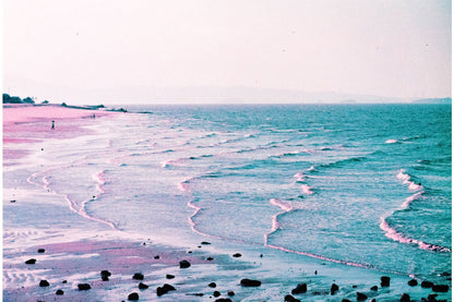 Lomography LomoChrome Purple ISO100–400 135 Color Negative Film