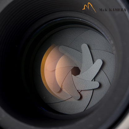 Leica APO-Macro-Elmarit-R 100mm/F2.8 E60 Lens Yr.1986 Germany 11210 #65656
